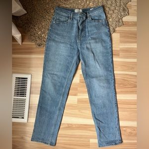 Everlane The Original Cheeky Jean